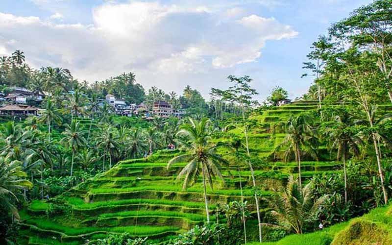 Tegallalang Ubud