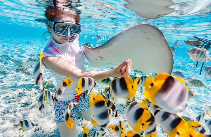 You are currently viewing Tips for Snorkeling Beginners