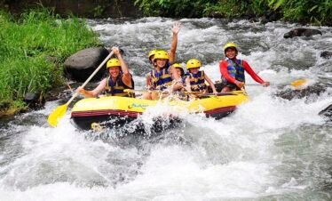 Ayung River White Water Rafting and Ubud Tour