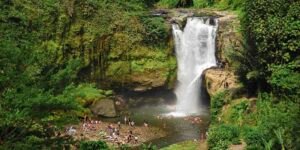 Read more about the article Top 5 Best Bali’s Waterfalls You Must See